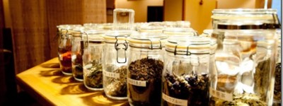 【保存版】日本茶(緑茶)の保存方法まとめ
